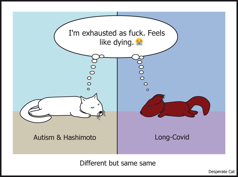A cat and a squirrel are lying on the ground, exhausted, seperated from each other, nevertheless both thinking the same: "I'm exhausted as fuck. Feels like dying". Different but same same (Autism & Hashimoto versus Long-Covid).